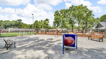 Dog park